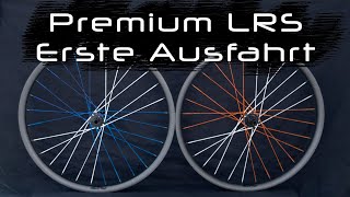 Berdspokes Premium Laufradsatz  Erster Eindruck  Trailpark Harz Wassertal [upl. by Erlina]