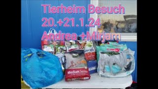 Mentor4Dogs  Andrea Mirjam Tierheim Einsatz 124 [upl. by Ohl]