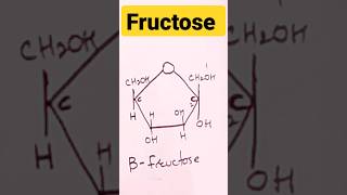 How to draw ring structure of Fructose [upl. by Knowling]