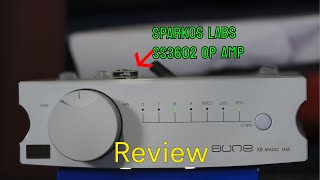 DO op amps make a differance aune x8 magic dac review [upl. by Yarased489]