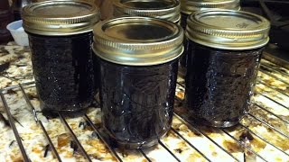 PERFECT HOME MADE BLUEBERRY SYRUP SIMPLE AND EASY RECIPE TO FOLLOW CHERYLS HOME COOKING [upl. by Toddie]