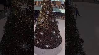 Preciosa Pista De Hielo Y El Árbol De Navidad🙏UPDTB [upl. by Eadith]