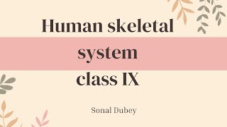 Human skeletal system  class IX ICSE board [upl. by Highams717]