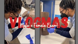 Mock Medical School Female Pelvic  Male Rectal amp GU Exam  Vlogmas Day 9 [upl. by Oliviero491]