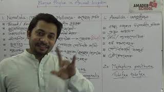 03 Nematoda  Annelida  Mollusca  HSC Zoology Chapter 1  Major Phylum Part 2 [upl. by Ayotas]