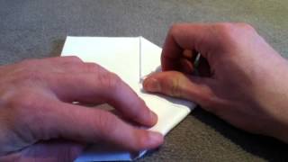 Faire une otarie en origami  Réaliser un origami en forme dotarie [upl. by Chadd]