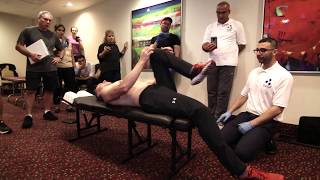 Trigenics MidBody amp Spine Course Highlights [upl. by Oakley]