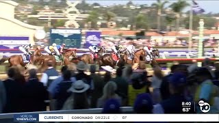 Thousands of horse racing fans flock to Del Mar for Breeders Cup [upl. by Narba241]