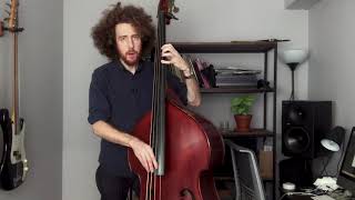 PAUL SIMON  Wristband Bass Cover and Tutorial  Carlos Henriquez  Bass Tab [upl. by Ojeillib]