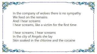 IAMX  Screams Lyrics [upl. by Tonry868]