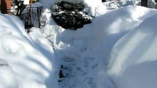 London Ontario Canada Snowstorm Snowmageddon Dec 9 2010 001avi [upl. by Karrie]