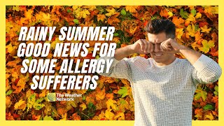 The Surprising Reason Your Allergies Are So Bad Right Now [upl. by Wymore]