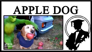 Apple Dog AI Clips Are Insane [upl. by Alister]