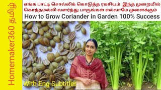 கொத்தமல்லி இப்படி நிலத்தில் வளருங்கள் 100 சக்ஸஸ்  Growing Coriander in land 100 Success [upl. by Enak299]