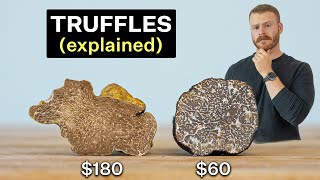 Why are Truffles so expensive Are they worth it [upl. by Kehsihba]