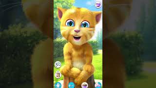 Gawe Ke Sarpanch Hai Mere Mama Ji😍😍⚡️viralvideo ytshorts cat [upl. by Lian358]