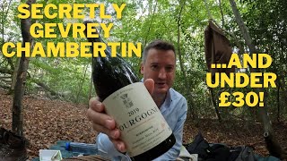 Bargain Gevrey Chambertin Marc Roy Bourgogne 2019 [upl. by Esinehs]