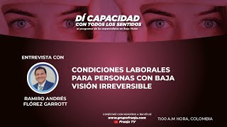 DíCapacidad Condiciones laborales para personas con baja visión irreversible [upl. by Ajiam]