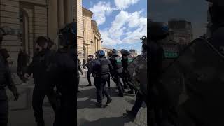 ProPalestinian protester aggressively tackled by Paris police [upl. by Brew]