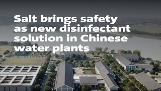 Salt brings safety as new disinfectant solution in Chinese water plants [upl. by Maximilien]