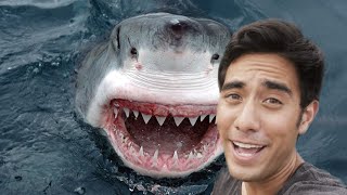 Zach King Vine and Tik Tok Compilation 2020  Best Magic Vines  Part 10 [upl. by Annaor]