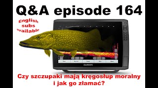 QampA odcinek  Czy szczupak ma kręgosłup moralny i jak go złamać [upl. by Callahan784]