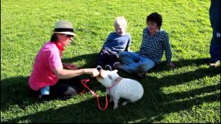 Polly at Williamstown Farmers Market [upl. by Ram661]