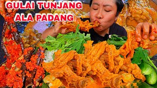 MASAK GULAI TUNJANG ALA RUMAH MAKAN PADANG  SAMBAL MERAH TERONG UNGU [upl. by Rumney]