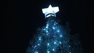 Londons Trafalgar Square Christmas tree lights up [upl. by Holcomb]