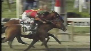 Victory Gallop Belmont Stakes 1998  Thrilling finish  Triple Crown lost by a nose [upl. by Aznaed]