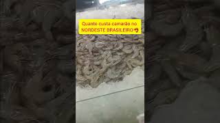 Preço do camarão no NORDESTE BRASILEIRO 🦐🍽 [upl. by Olathe]