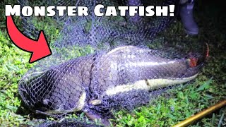 I Caught A MONSTER REDTAIL CATFISH [upl. by Oxley]