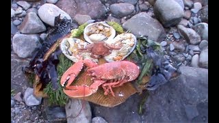 A foraged Pembrokeshire wild seafood feast cooked on the shore with Craig Evans [upl. by Narod]