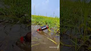 Best Bottle Hook Fishing fishvideo fishing Shorts fish viralvideo [upl. by Anawt]