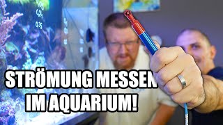 Strömung im MEERWASSERAQUARIUM messen  Neue Tunze Pumpe [upl. by Ymled148]