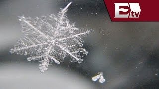 Impresionantes imágenes de copos de nieve  Tendencias de las redes sociales [upl. by Sivia]