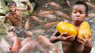 Primitive Technology  Find Food In The Jugle amp Cooking Red Fish Eating Delicious  Kmeng Prey [upl. by Gaal]