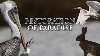 Restoration of Paradise  Environment Ecological  Full Movie [upl. by Auqeenwahs949]