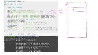 File Descriptors Explained [upl. by Goober]