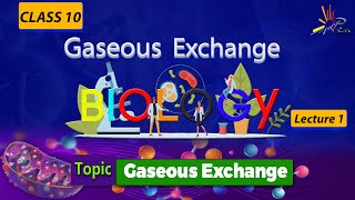 Gaseous Exchanges EXPLAINED in Biology I CLASS 10 I Unit 1 I lect 1 I Biology penacademy [upl. by Llenwahs]