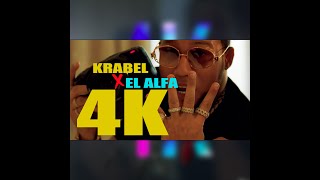 Krabel ft El Alfa  4k [upl. by Colville137]