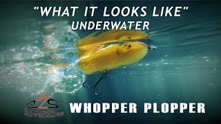 River2Sea Whopper Plopper  What it Looks Like Underwater [upl. by Edgell]