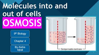 Osmosis Class 9 [upl. by Wershba]