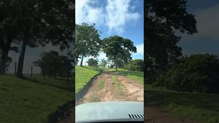 Estradinha de chão estrada roça short youtube fazenda shorts [upl. by Eidassac]