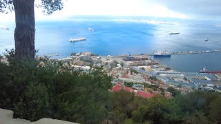 Gibraltar  Rock Monkeys Airstrip [upl. by Emorej]