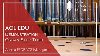 Demonstration of the Colzani Organ in Brione s M OLD 2017 VERSION  Andrea Pedrazzini  AOL EDU [upl. by Thgiwed]