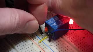 Electronics single pole double throw switch demonstration circuit using SRD 05VDC SL C relay [upl. by Leaffar]