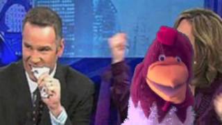 Unemployed Rooster  WGN TV Morning News [upl. by Attlee22]