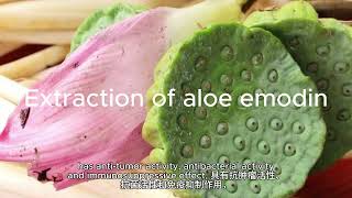 Extraction of aloe emodin [upl. by Nawak]