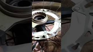 How To Service DT Swiss 240 Front Hub [upl. by Ysiad]